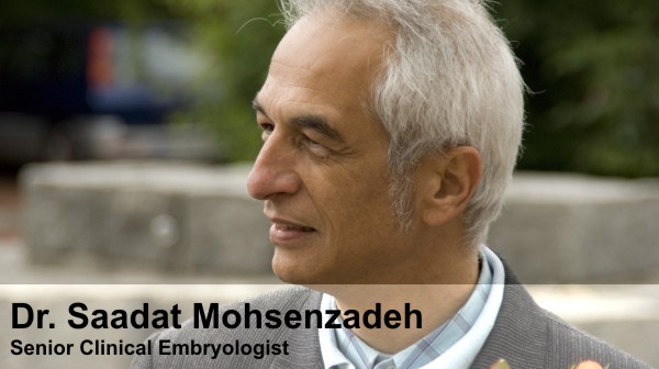 Dr. Saadat Mohsenzadeh